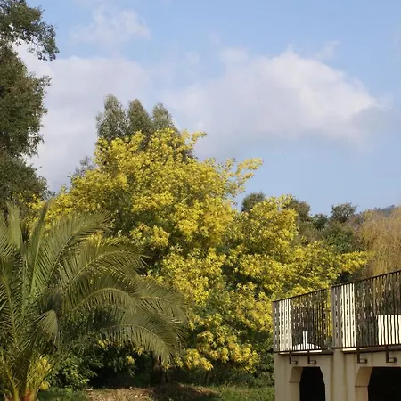 Jardins D'antalya גרימו