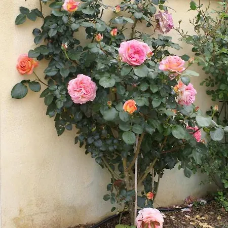 Jardins D'antalya Bed & Breakfast